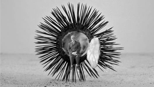 Les prcautions lmentaires - Gilbert Garcin (21 juin 1929 -17 avril 2020)